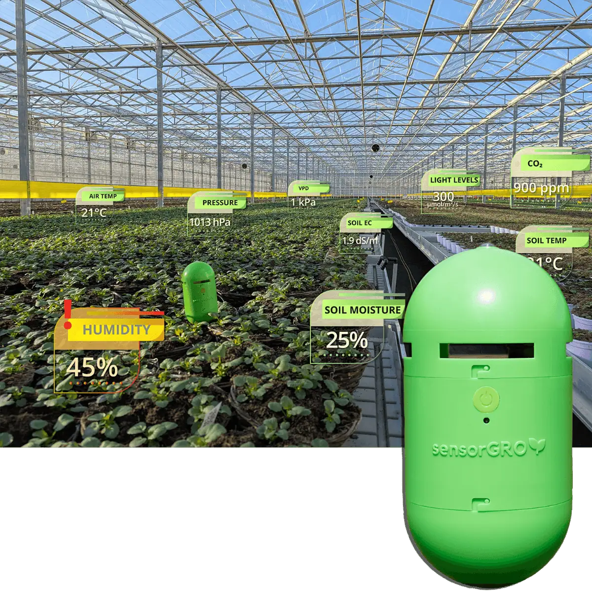 LST-Sensor-Grow-Infographic