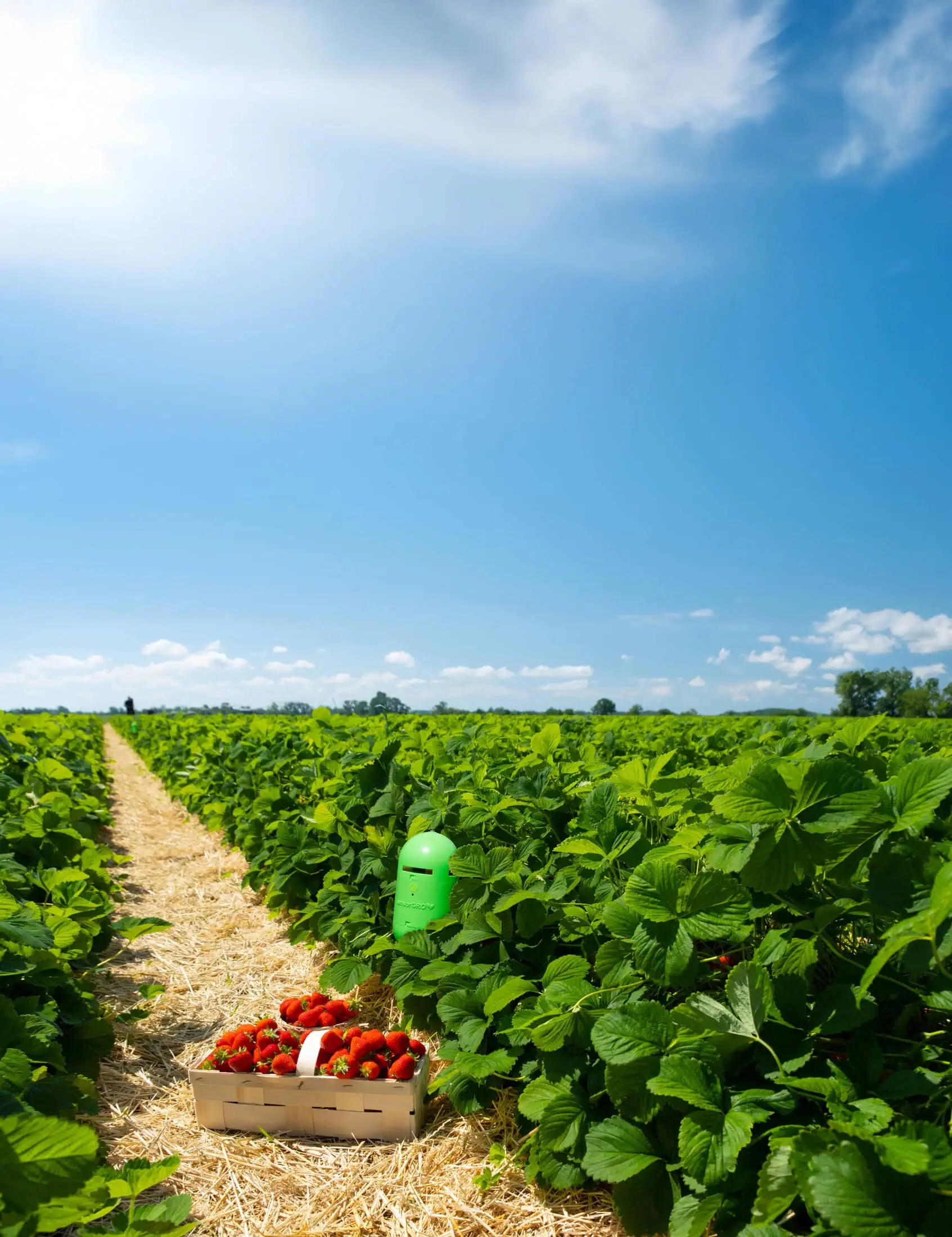 LST-SensorGro-Image-002_1