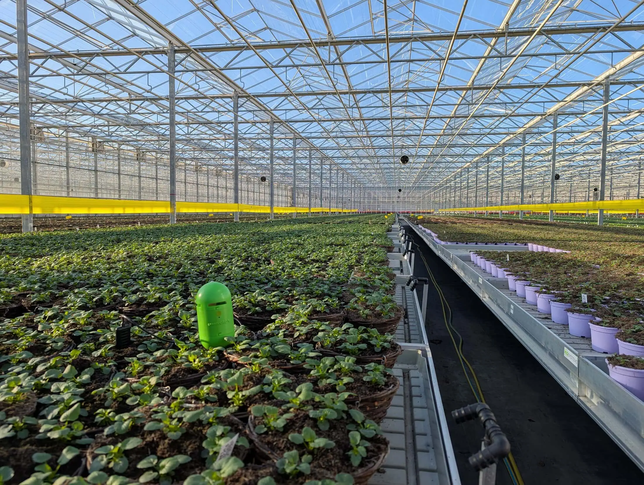 LST-SensorGro-Image-005