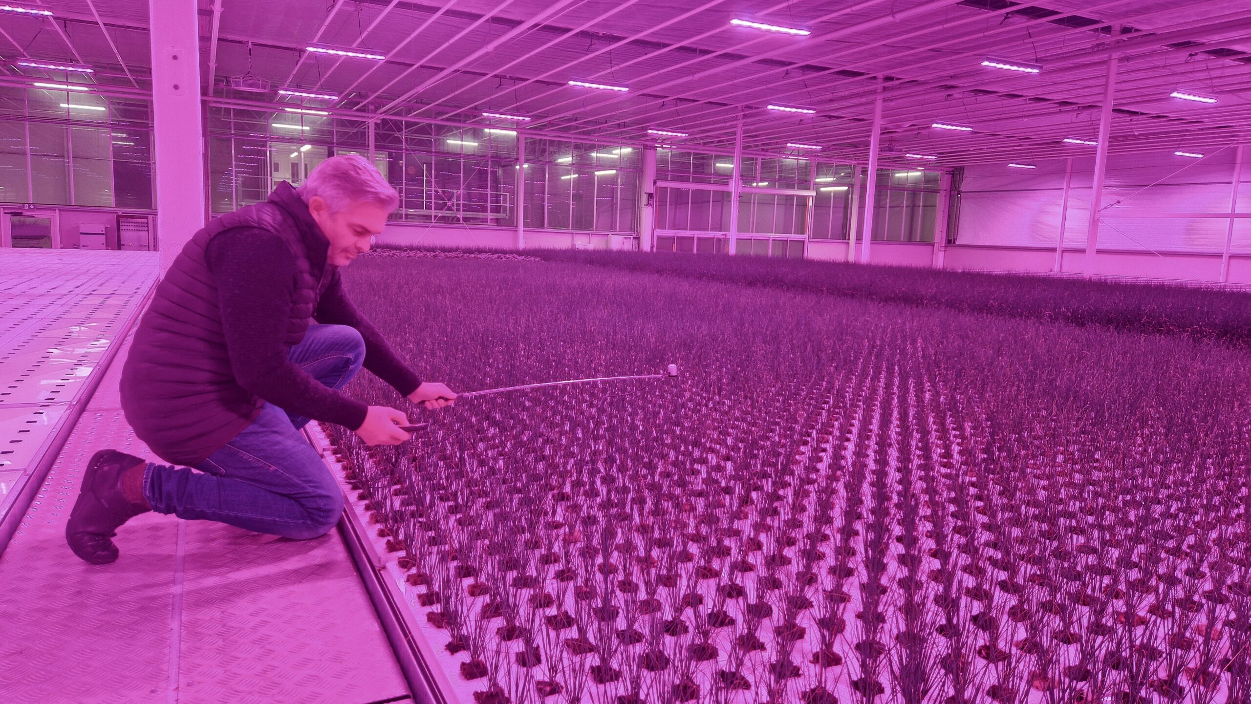 Light intensity validation